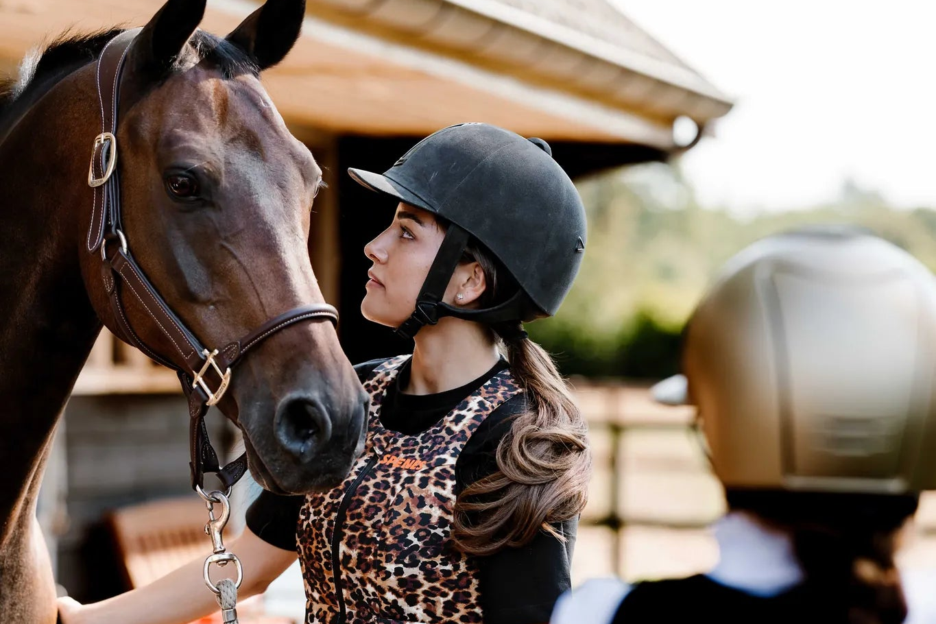 Paardensport