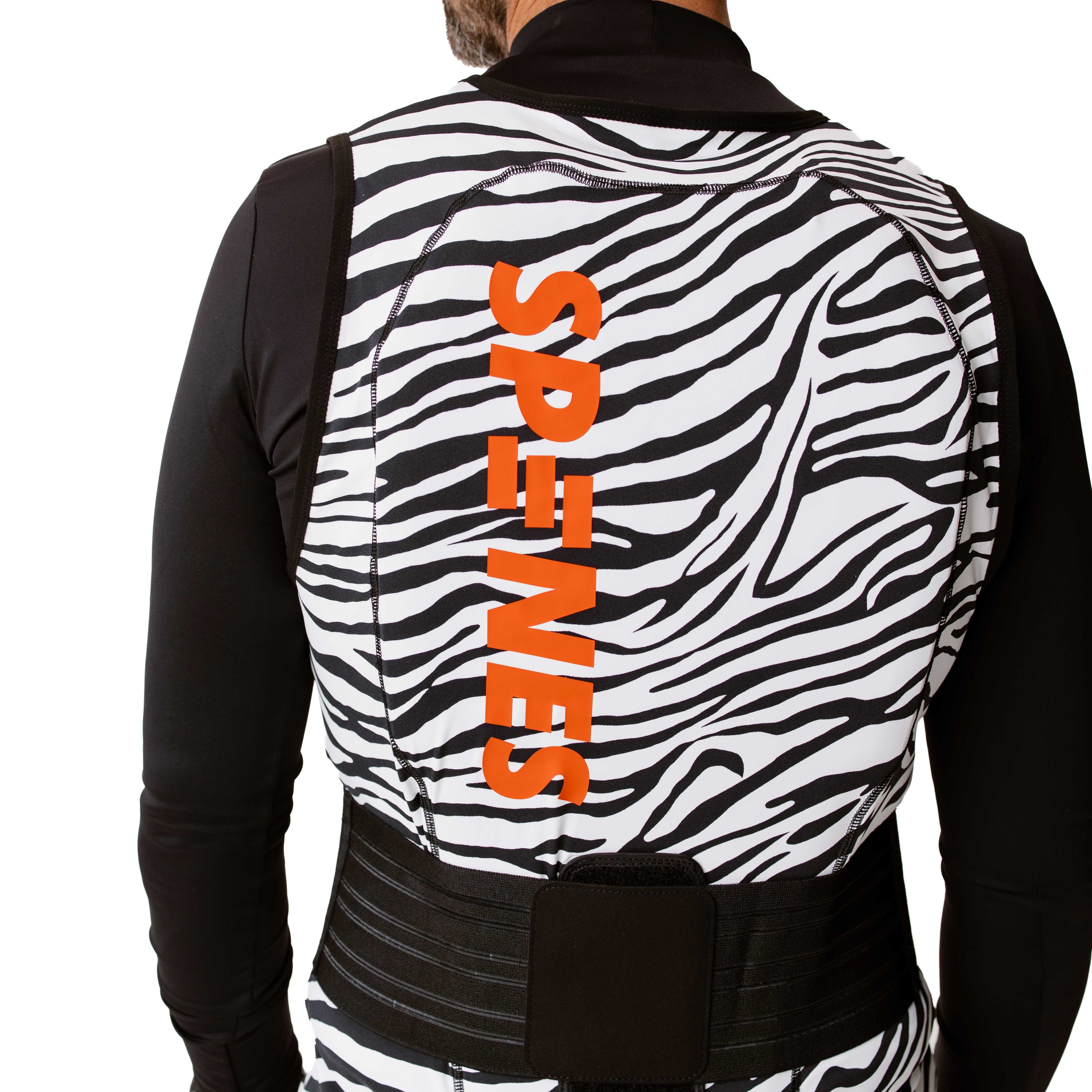 Spines The Zebra