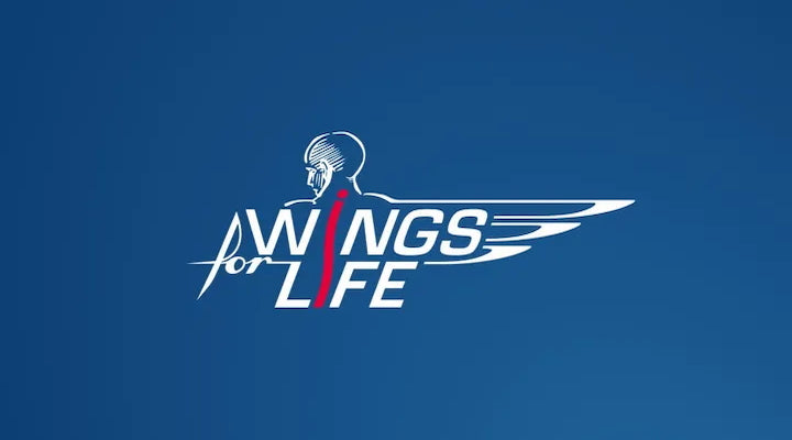 Wings_700x400_abd33a66-1688-4154-b94c-a07ad918e980.jpg