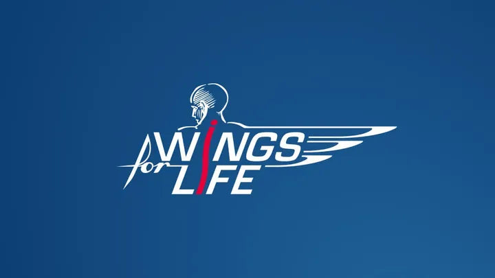 wingsforlife.webp